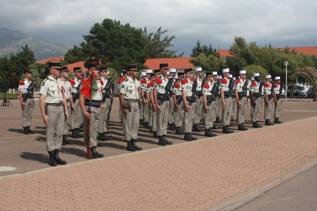 Brian Pleece tweet media