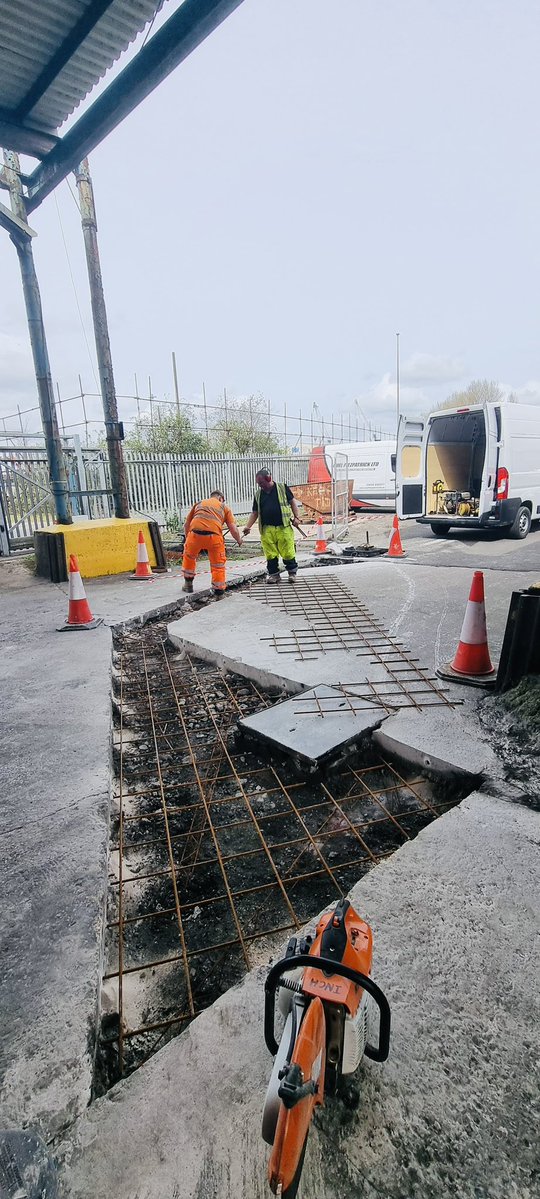 Noel Fitzpatrick Ltd tweet media