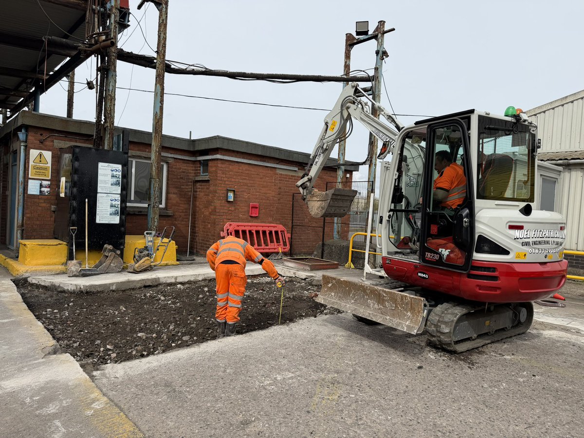 Noel Fitzpatrick Ltd tweet media