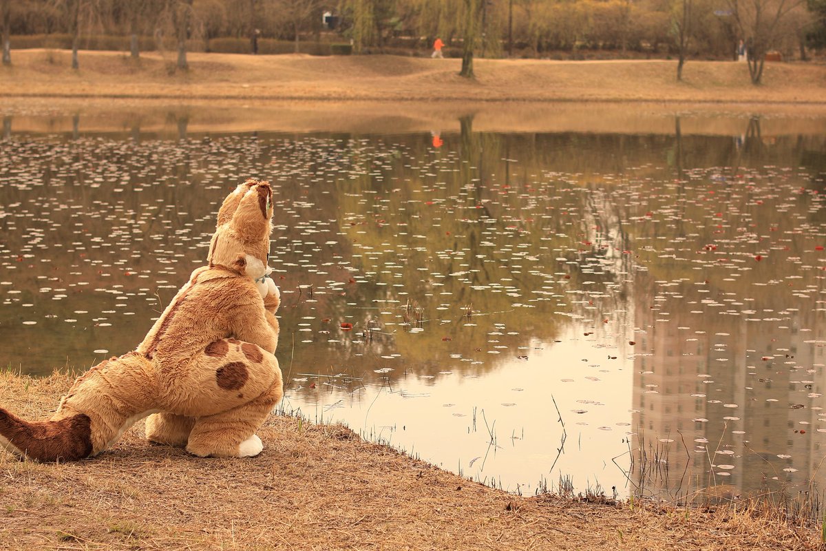 개르개르 | 오트(Oat) 🔜 PlayX4 tweet media