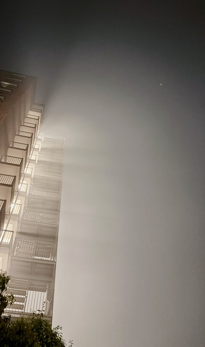 トラコ(くれは) tweet media