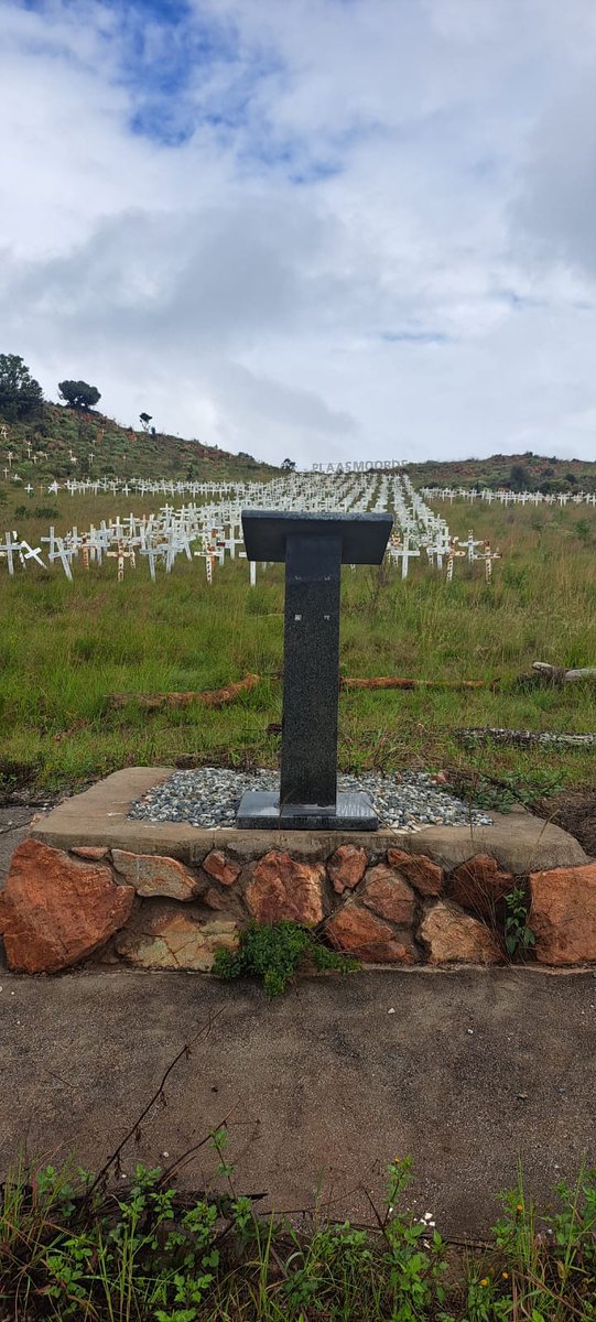 Anonymous88 tweet media