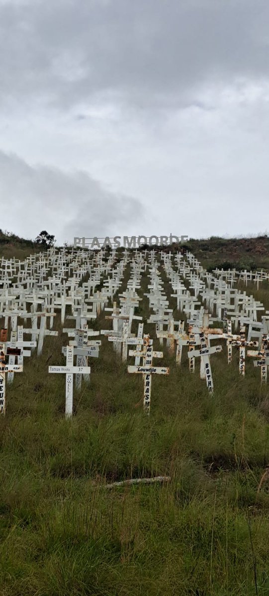 Anonymous88 tweet media