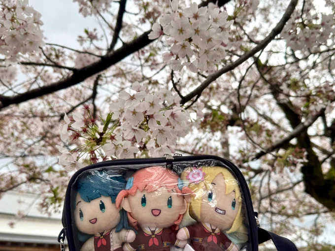 楽しかったね...三連華ちゃん...