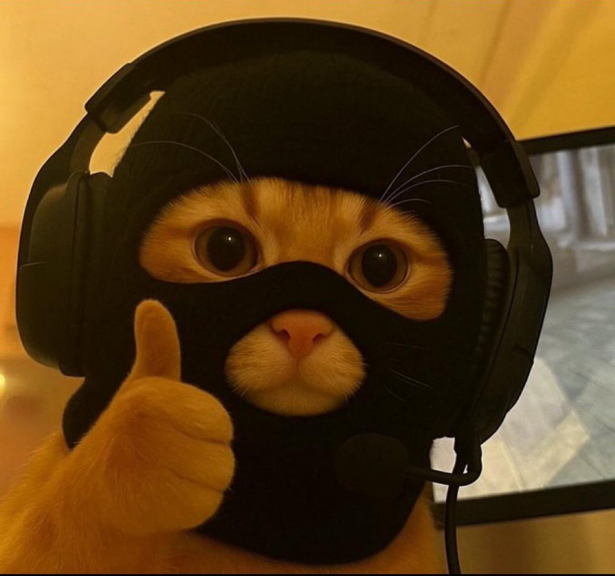 💎ALTSTEIN TRADE💎 tweet media