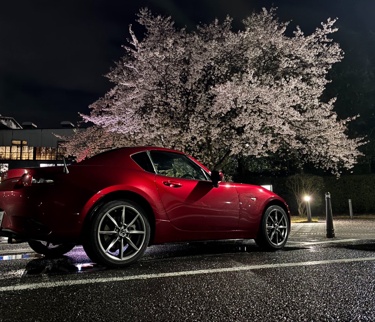 TPad1200's tweet photo. 綺麗な夜桜が見れました(^^) https://t.co/aPUo5TPhaC