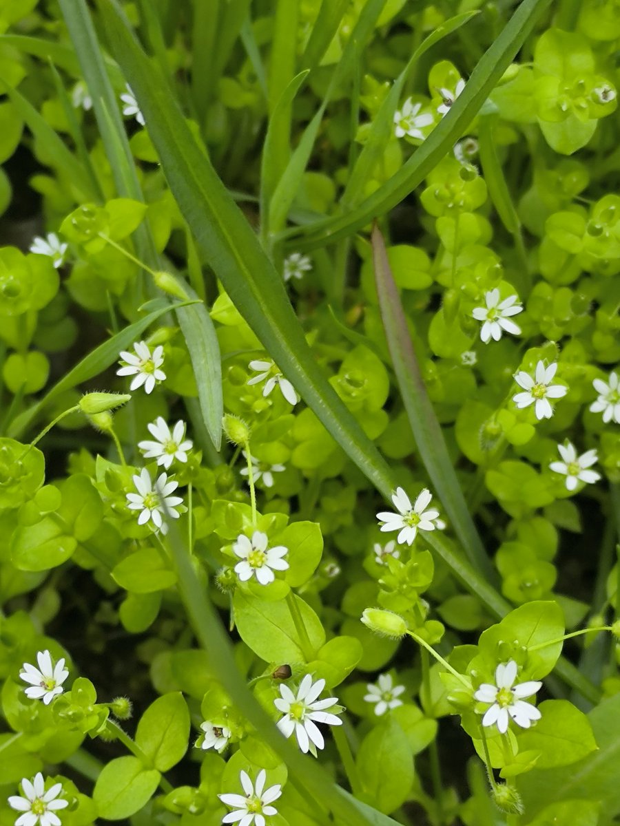 Dolltale tweet media