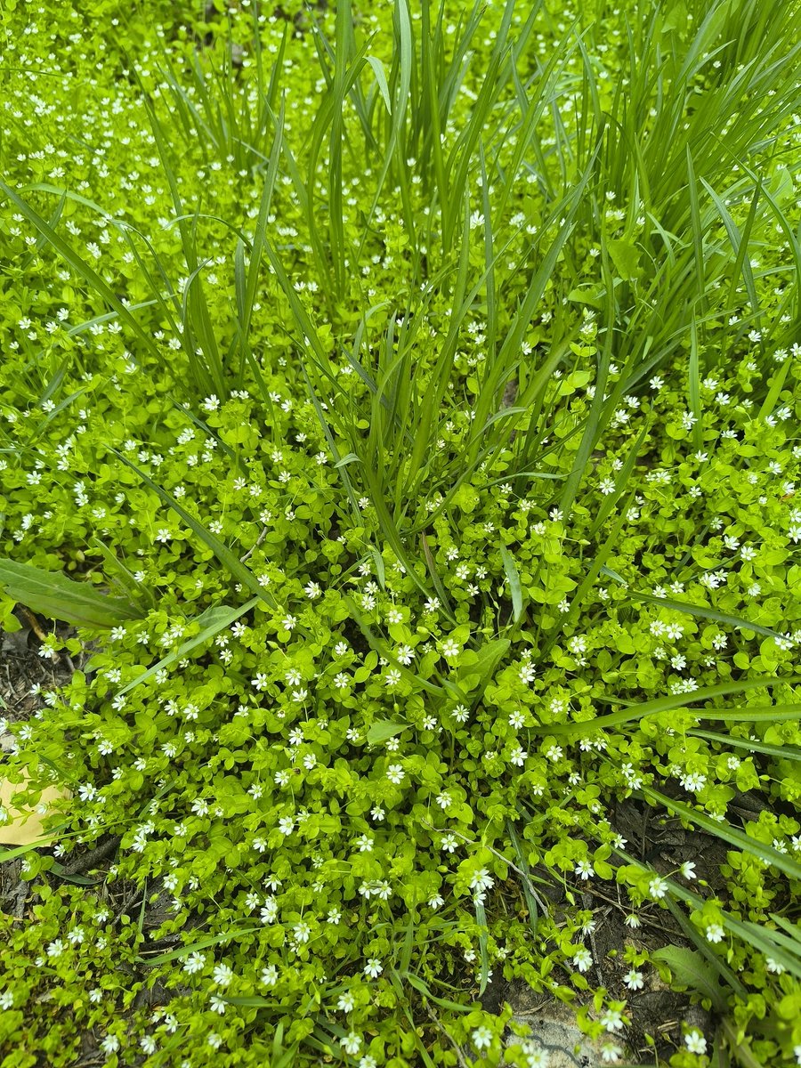 Dolltale tweet media