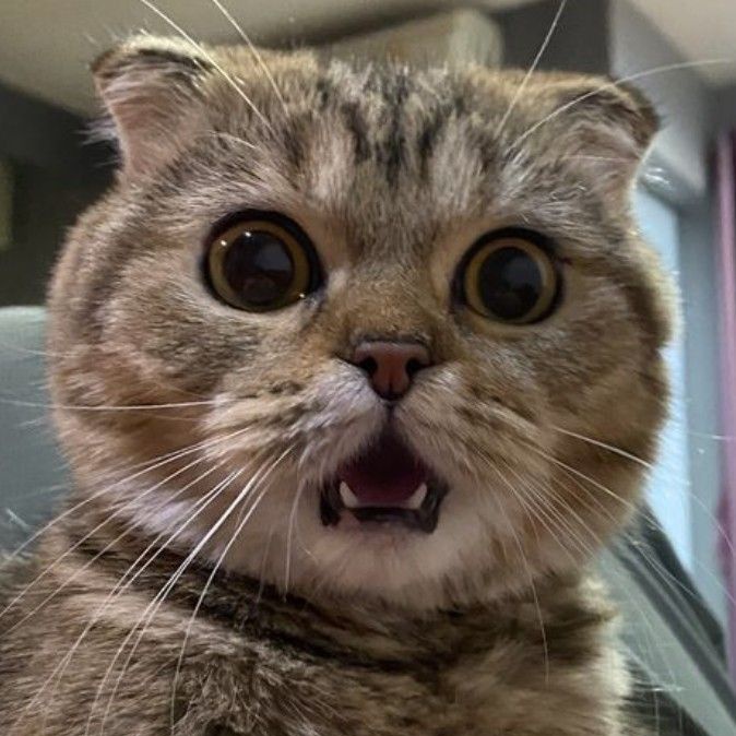 tata`♪ tweet media