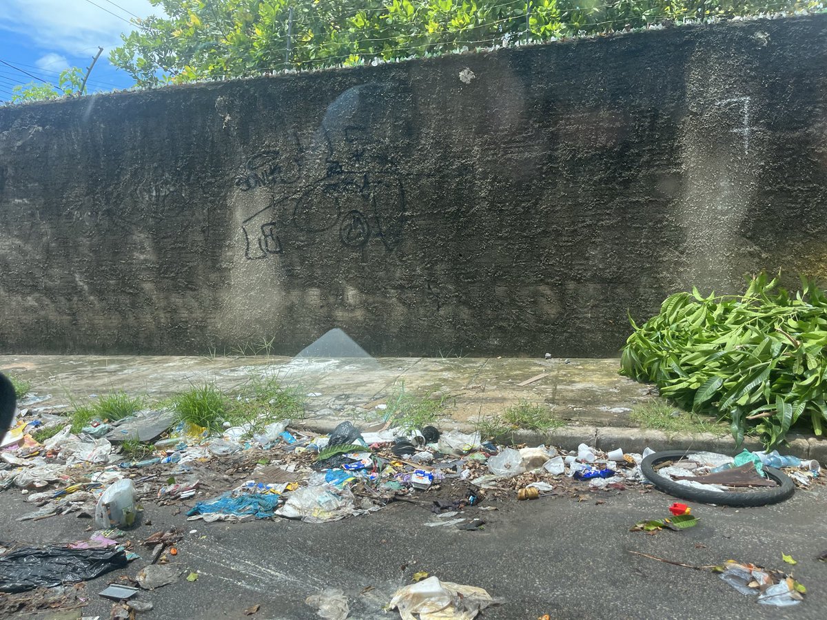 Felix Benevides Reis tweet media