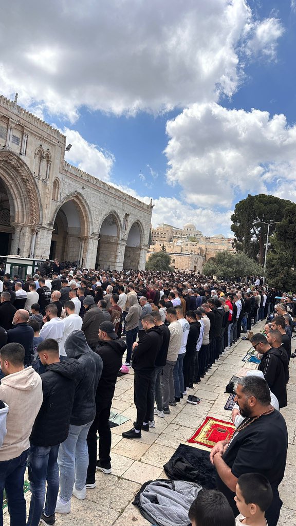 Motasem A Dalloul tweet media