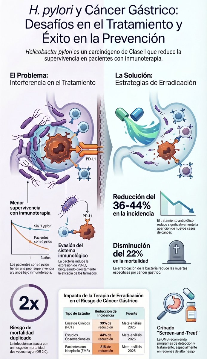 mayogastro's tweet image. El Helicobacter pylori es un factor de riesgo importante para #cancergastrico y para resistencia al tratamiento del mismo.  #cancer #dieta