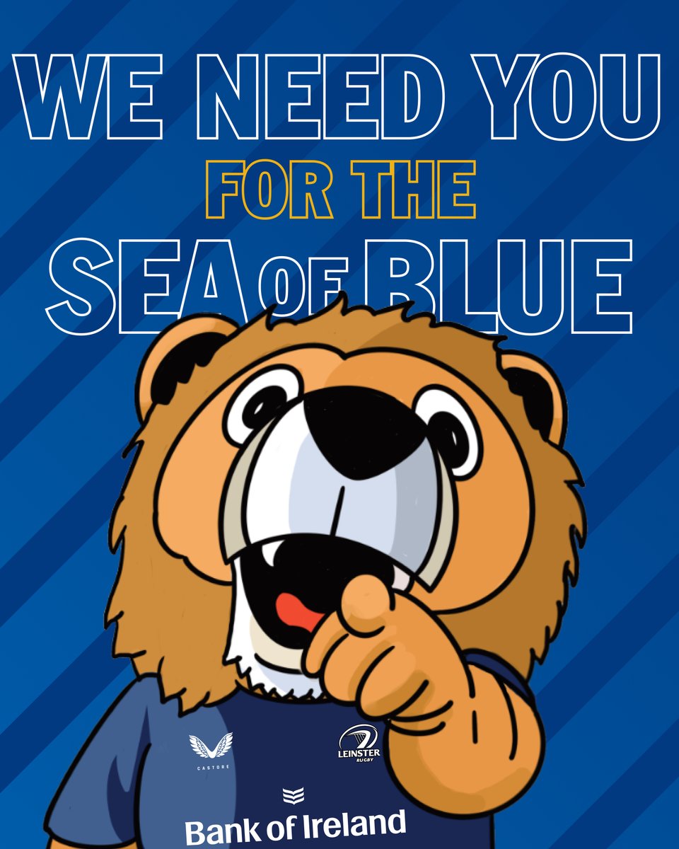 Leinster Supporters tweet media