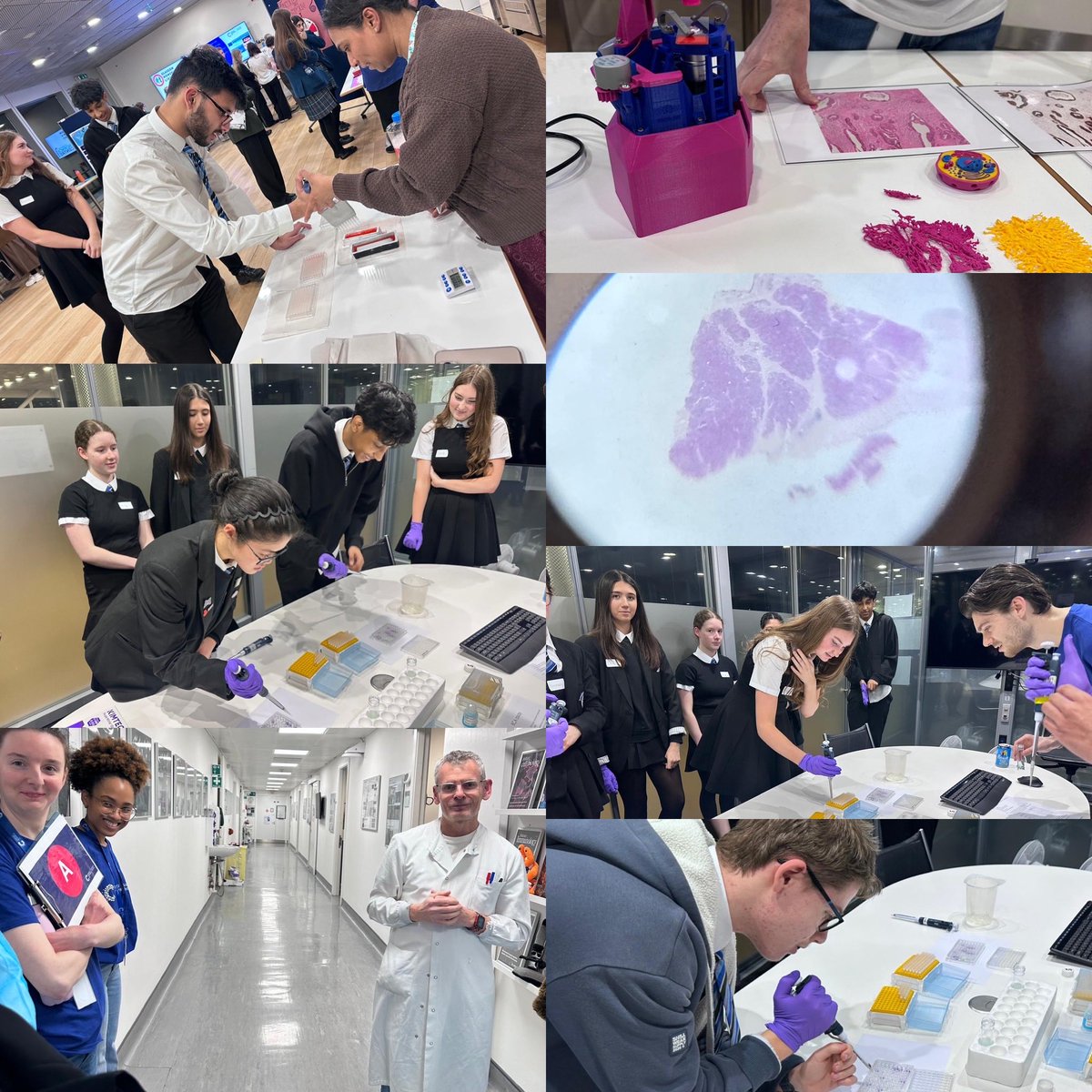 Science - Douglas Academy tweet media