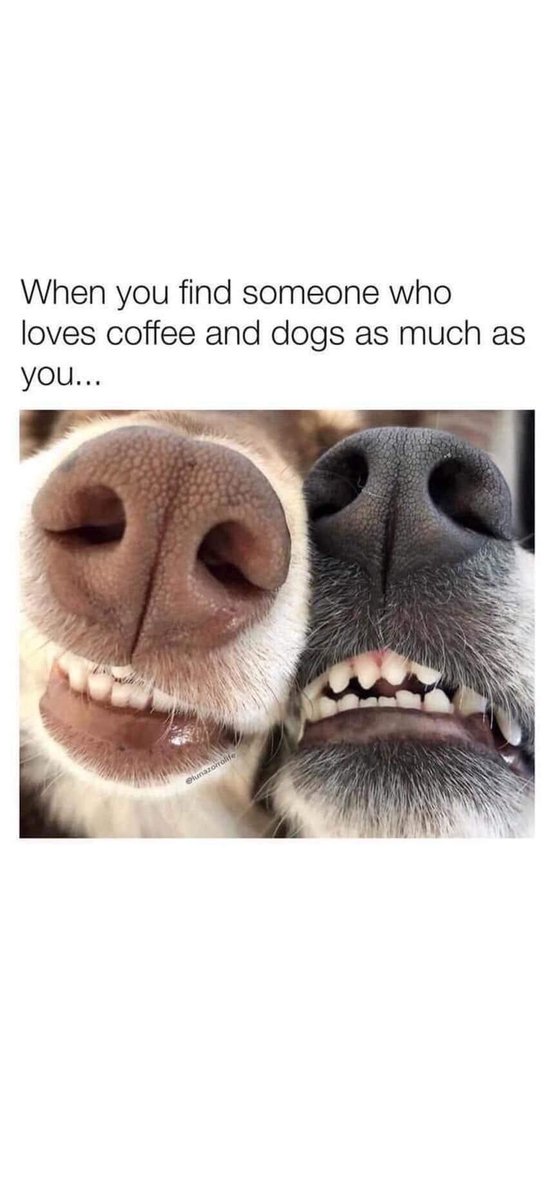 tiffoddostyle's tweet photo. And when you find that person, it won't like searching anymore, it will feel like arriving #soulmate #home #mustlovedogs https://t.co/N5hP5if1ba
