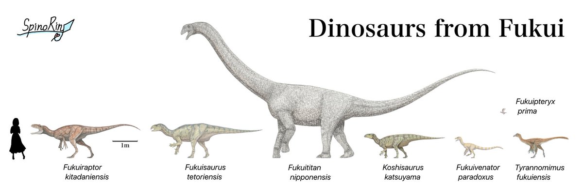 Spinoりん tweet media