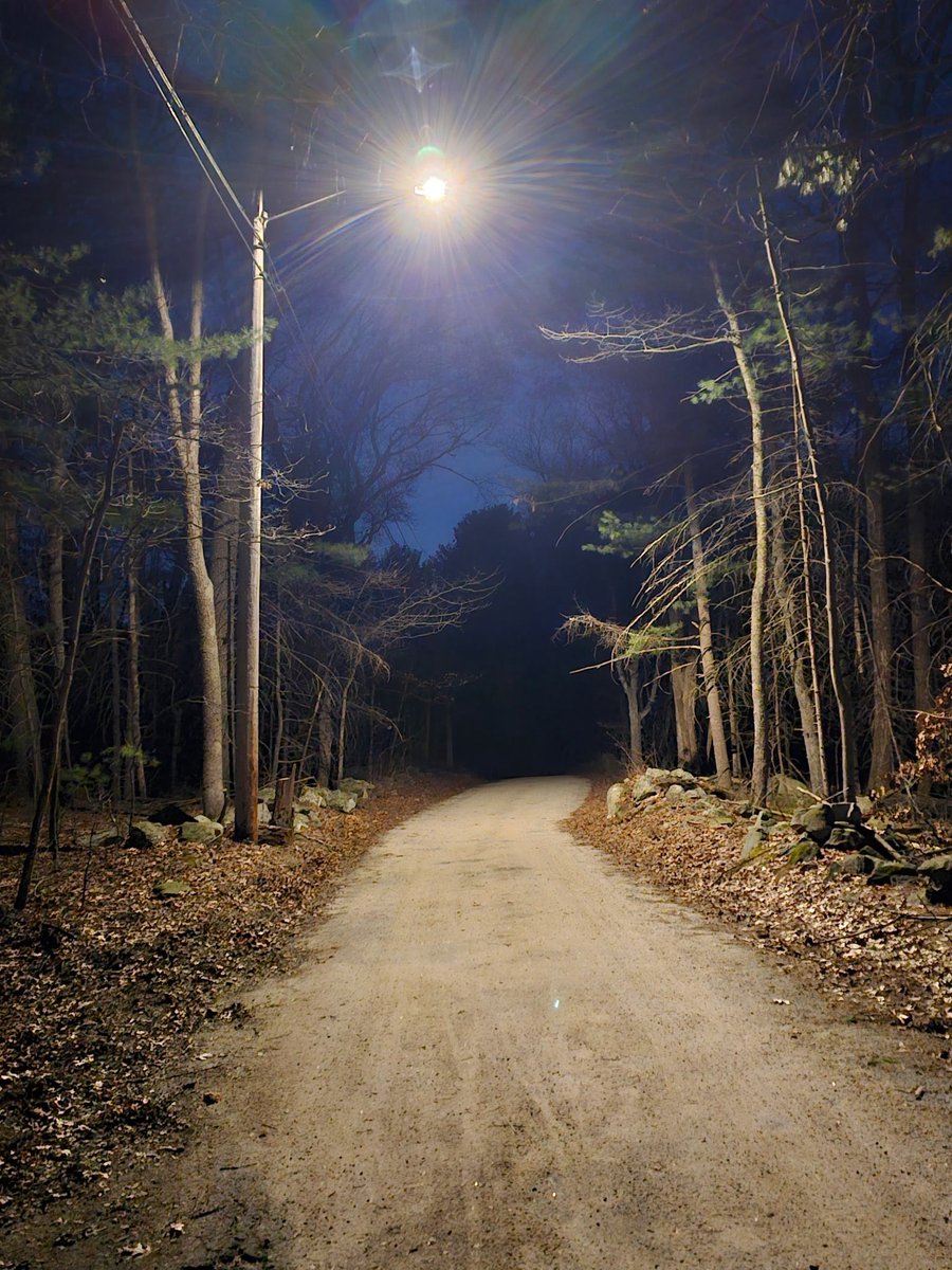 gloryalex tweet media