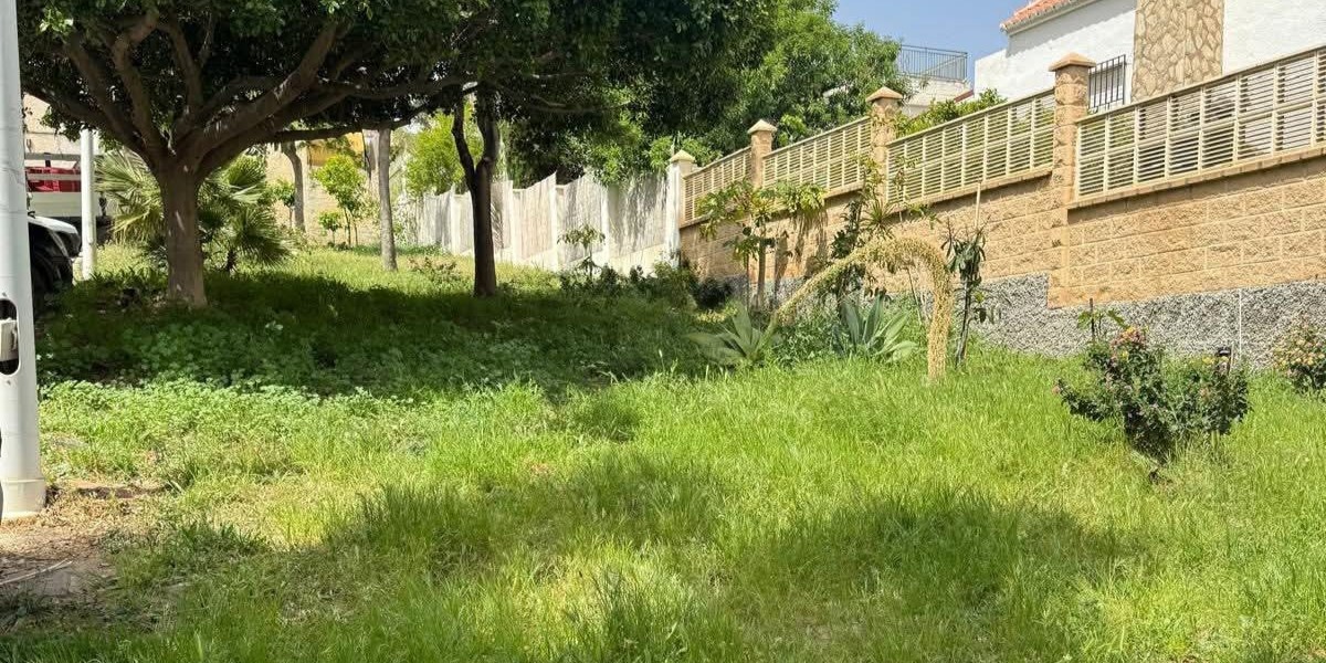 Motril Digital tweet media