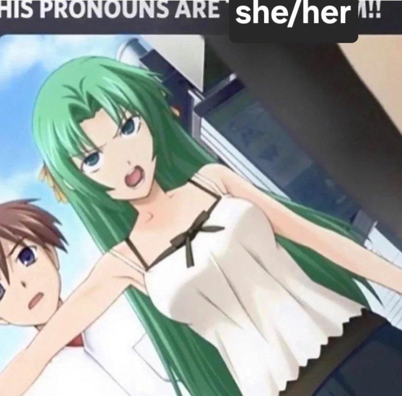 🌿 Timely Sumeru Lore tweet media