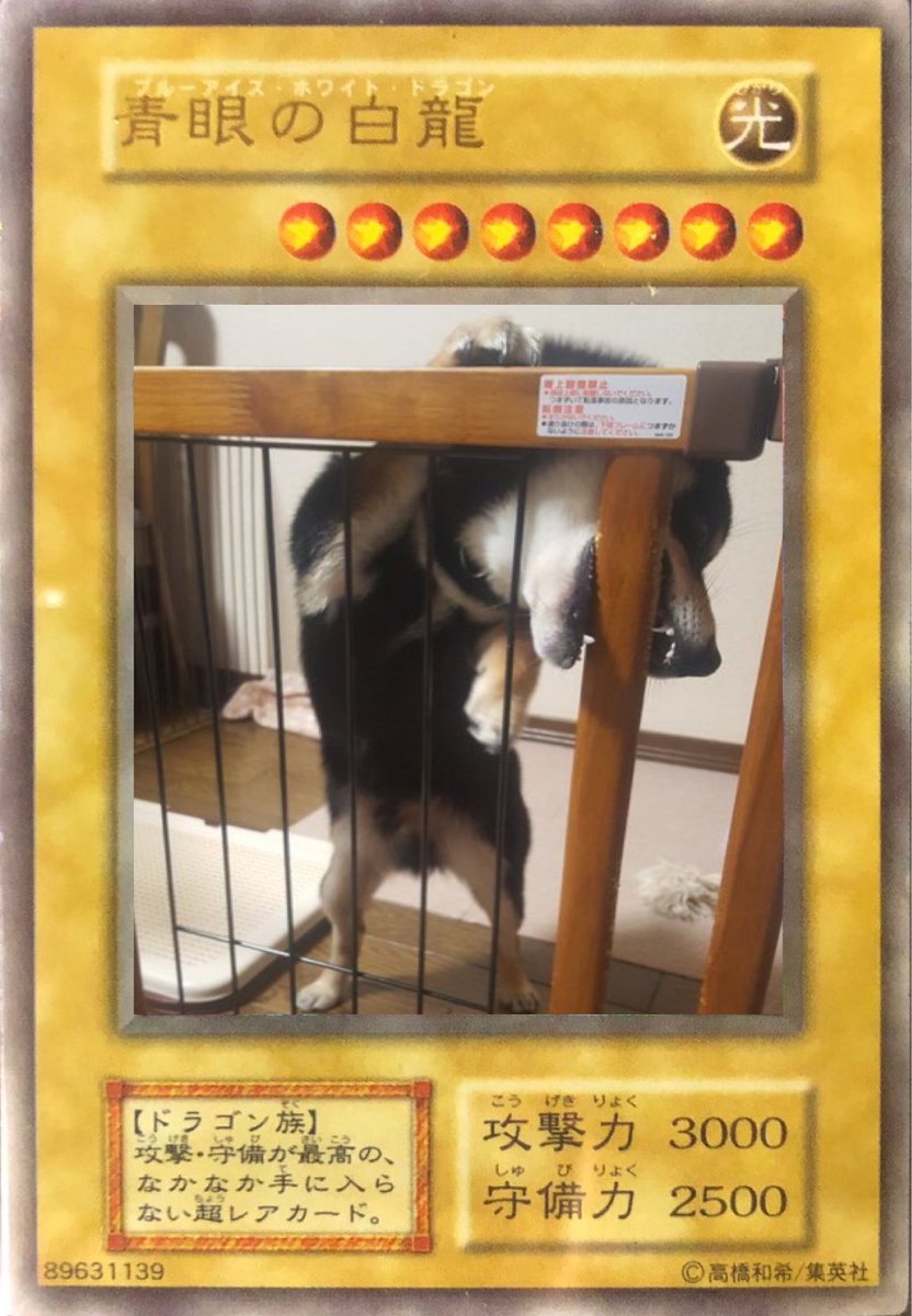 遊戯王が好きなホムラ@ワールドコイン tweet media