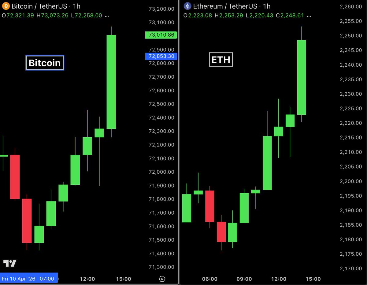 Bull Theory tweet media