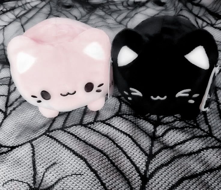 Kznami volta megumi tweet media