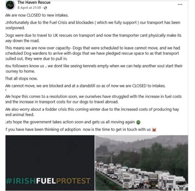 AnimalPartyIE's tweet image. Party for Animal Welfare (PAW) calls for end to the ongoing #fuelblockades — #enoughisenough.
@MyLovelyHorseR  &amp;amp; The Haven Rescue shared serious impacts on animal-rescue.  And road disruptions are making it harder for volunteers to reach animals in urgent need. #IrishFuelProtest