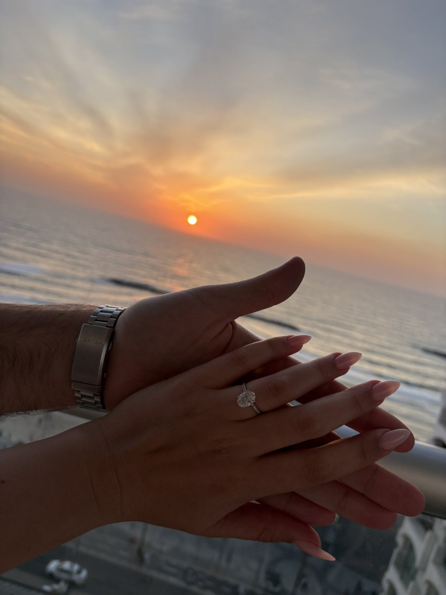 •ShacharCohen• tweet media