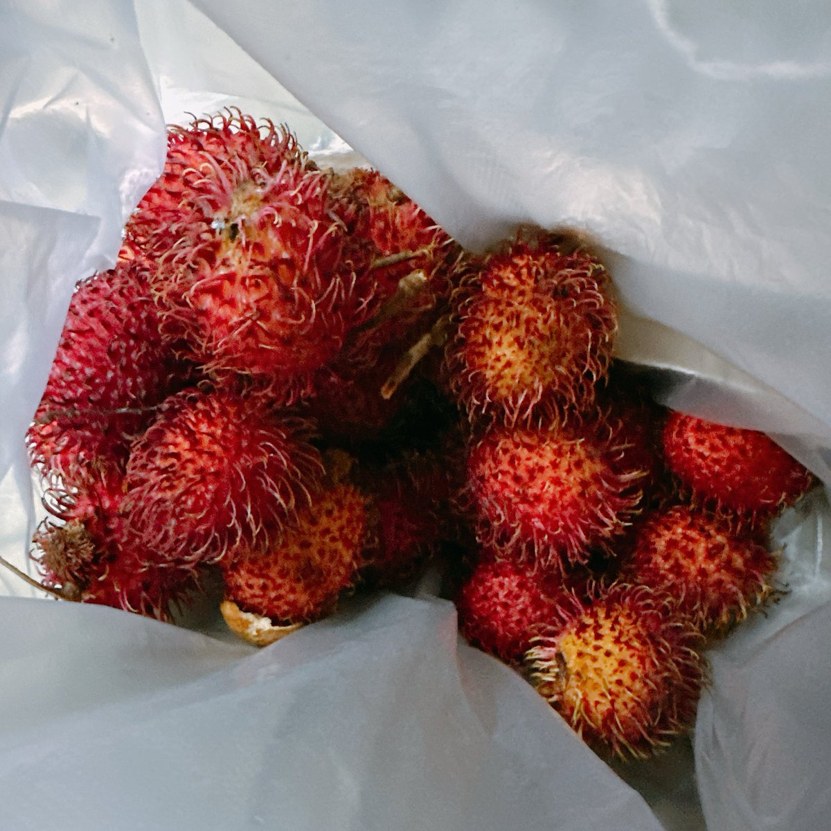 ｼﾛｲ tweet media