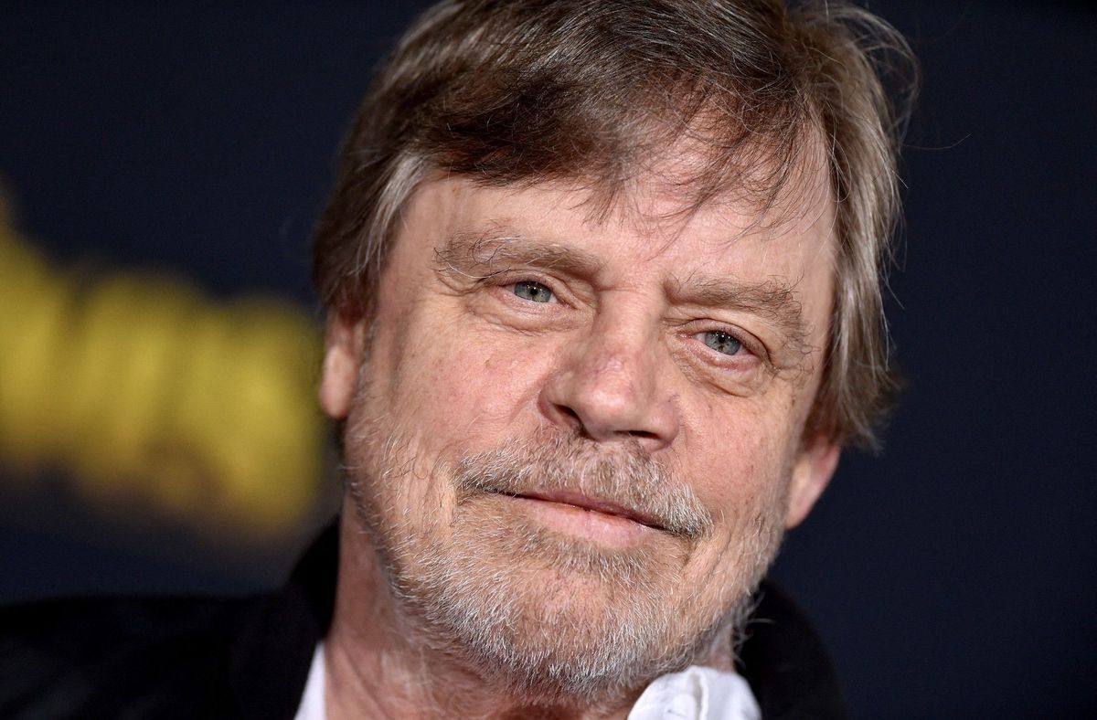 Areajugones's tweet image. "Entiende a George Lucas": Mark Hamill señala al único heredero capaz de salvar Star Wars

areajugones.sport.es/cine/entiende-… 

#MarkHamill #StarWars