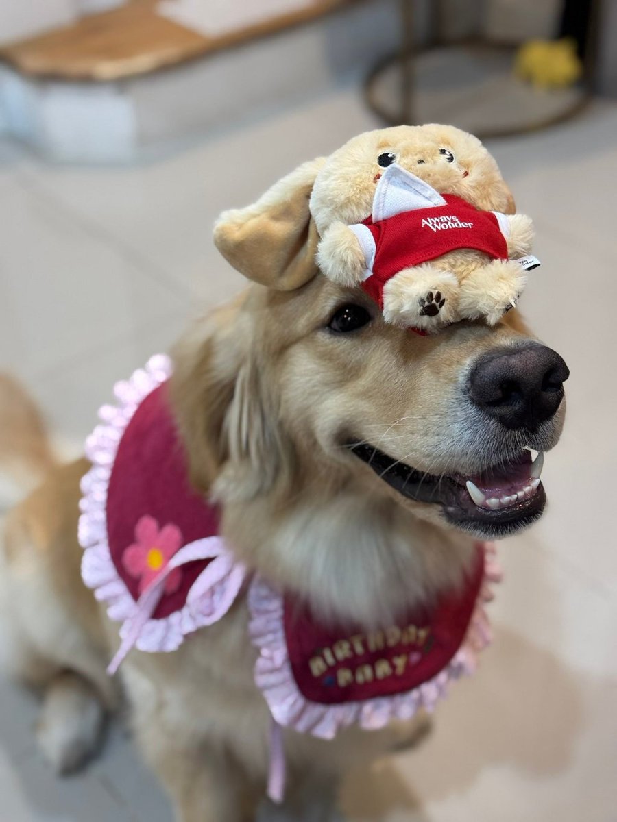 chhotu parsad tweet media