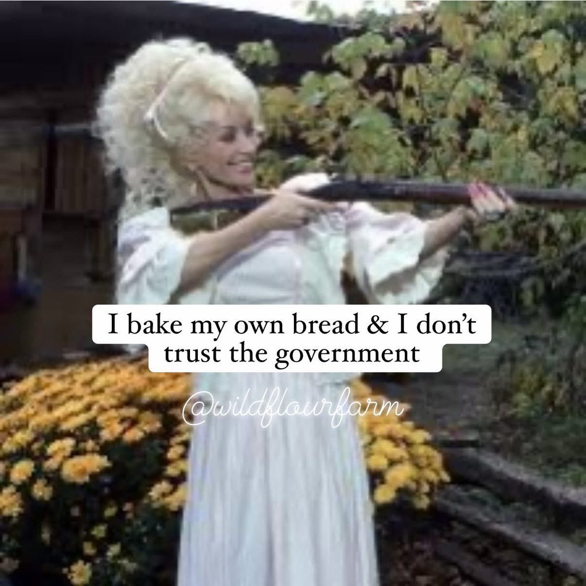 Alexx🪼 tweet media