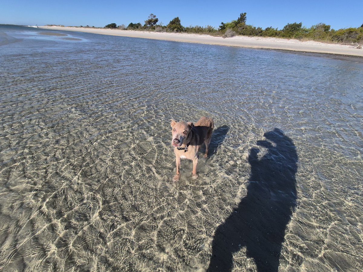 Thomas Tilmon tweet media