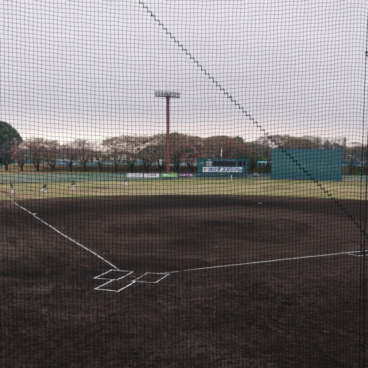 関東紫薔薇會 tweet media