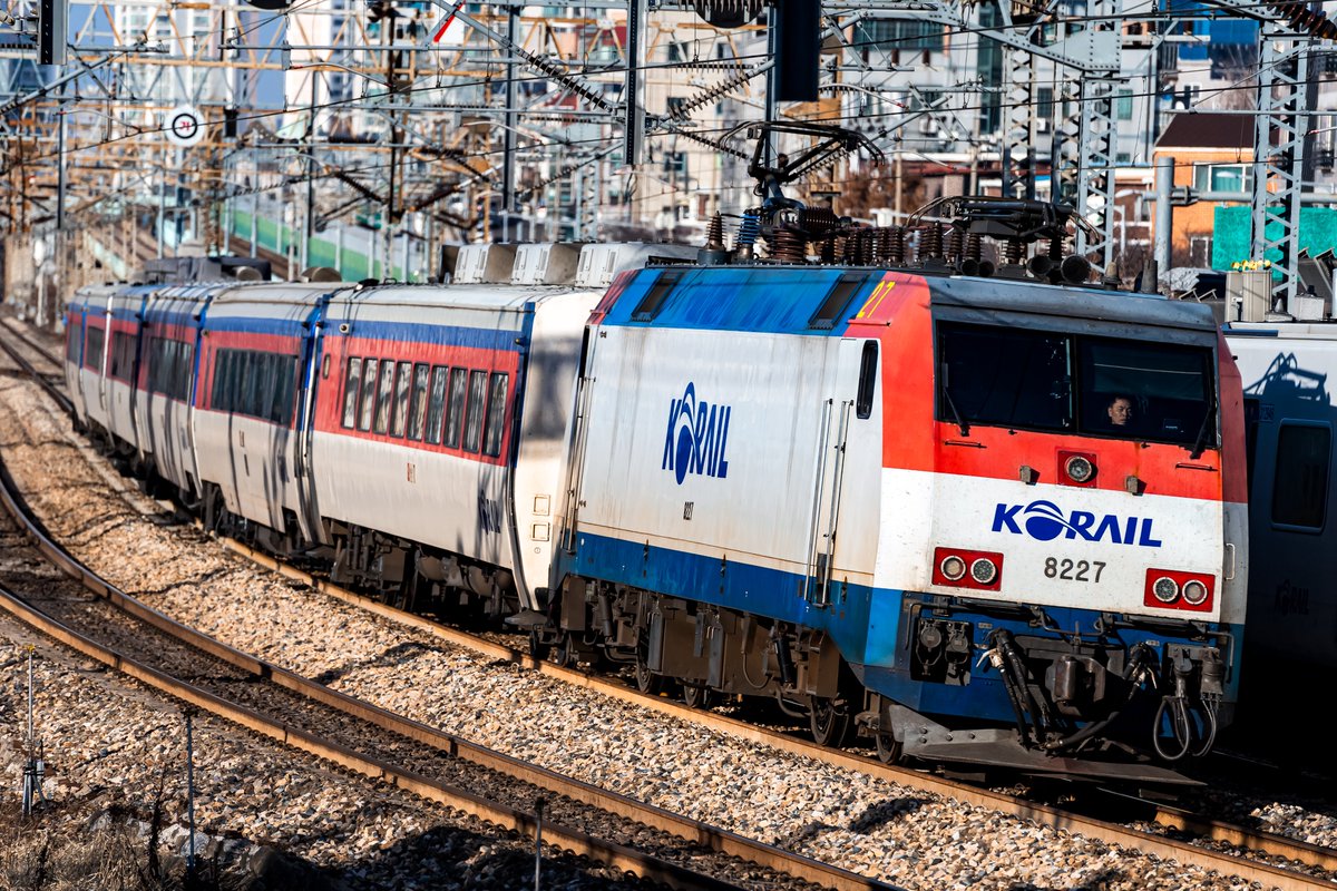 LOCO256🇰🇷 tweet media