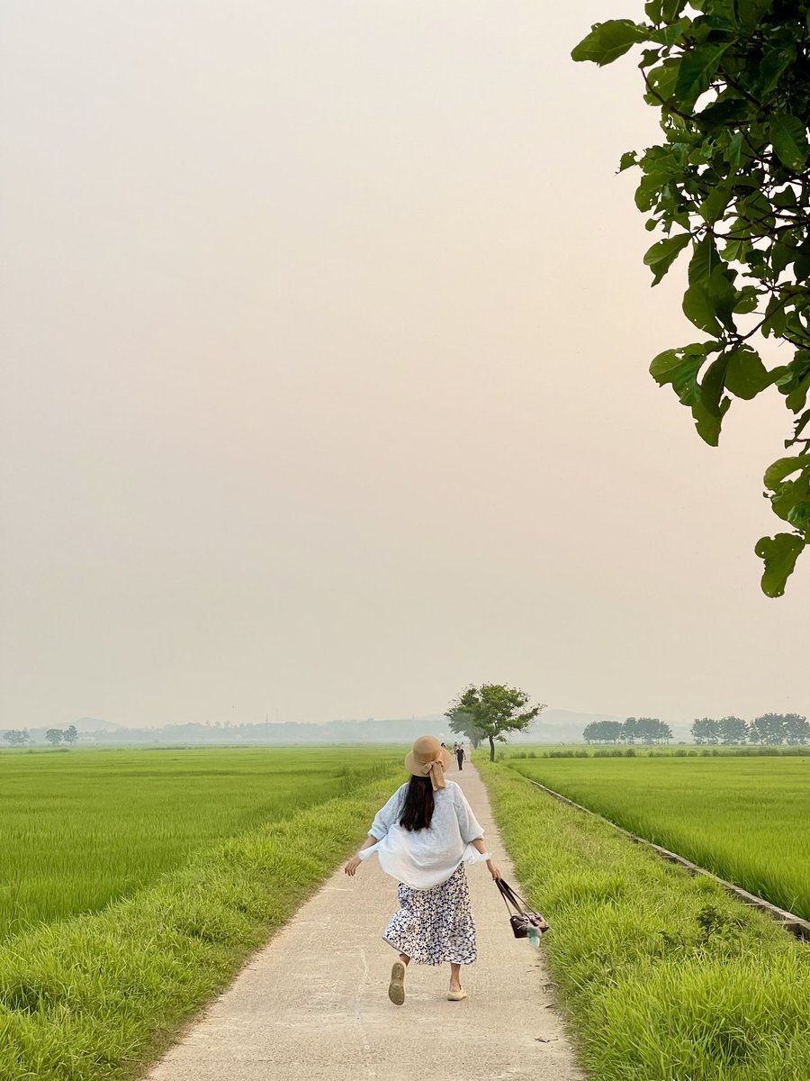 Thanh Hương | Rosie tweet media