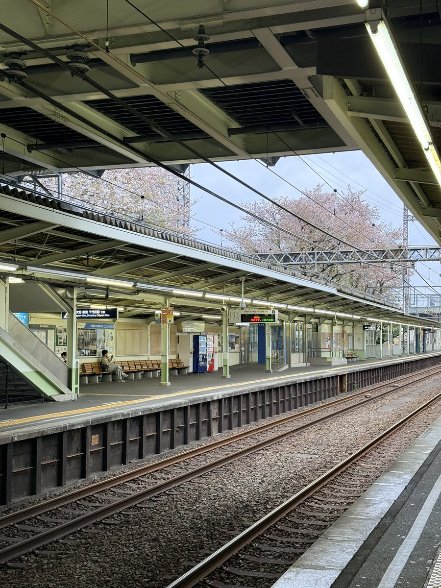 ツナの缶詰🐟 tweet media