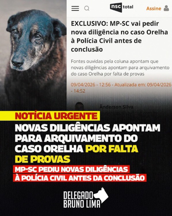 Delegado Bruno Lima tweet media