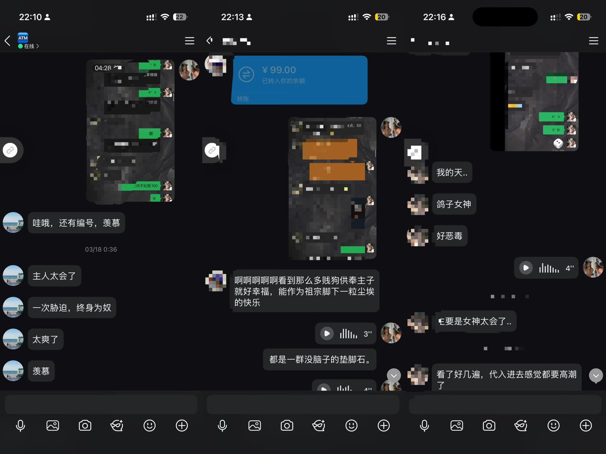鸽子-S tweet media