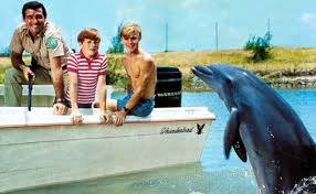 RetroCoast's tweet image. Flipper ran on the NBC network from 1964 to 1967

It was about an intelligent dolphin who helps a family running a marine preserve in #Florida 

Do you remember this wholesome television show? #1960s
