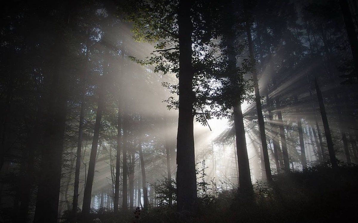 𝗩 nuage tweet media