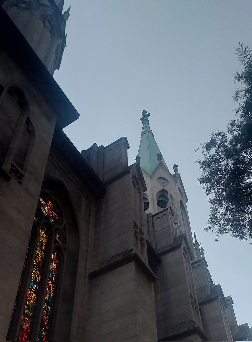 sol e dendê tweet media