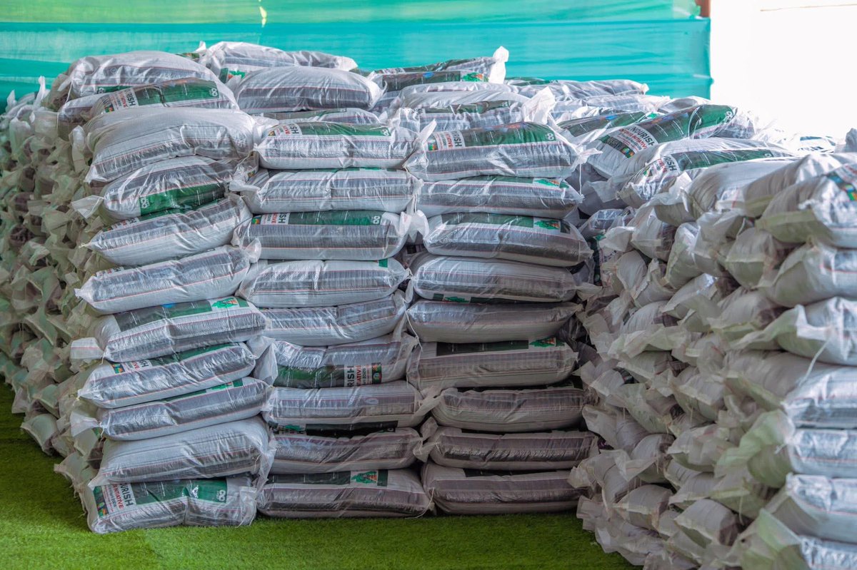 Obiasogu David tweet media