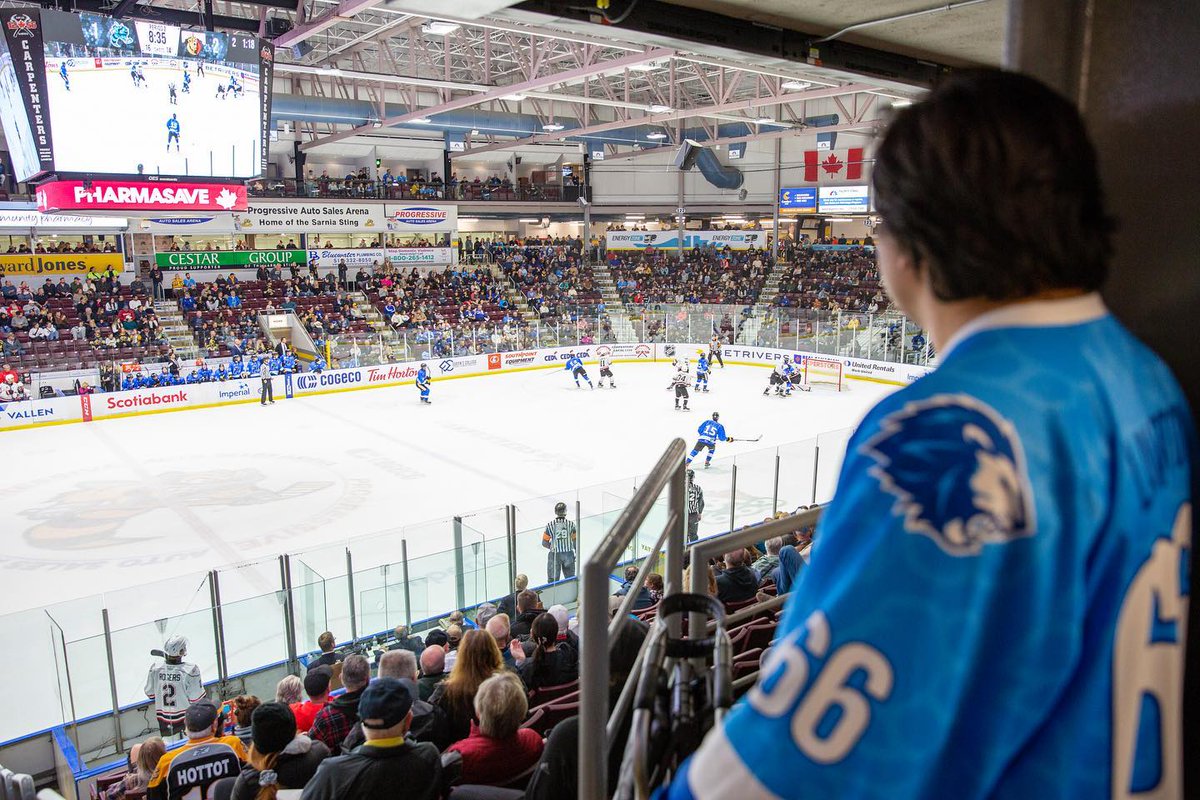 Sarnia Sting tweet media