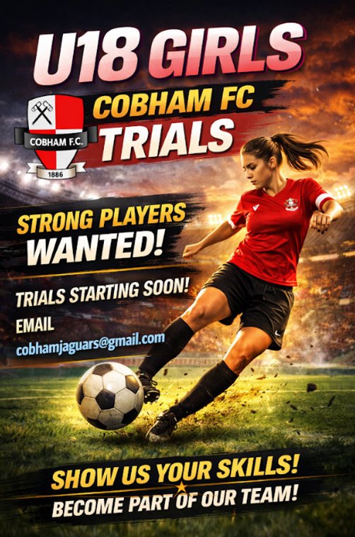 COBHAM FC (C)🏆 tweet media