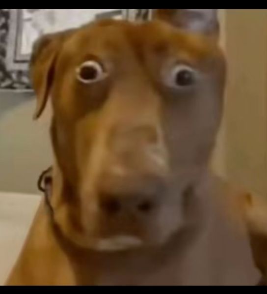 Only Friends : Dream On tweet media