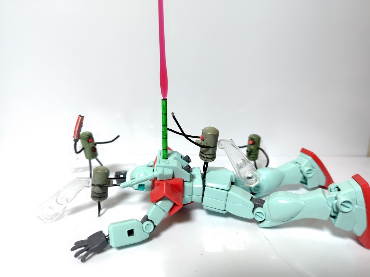 プラナリアン🦊🤪 tweet media