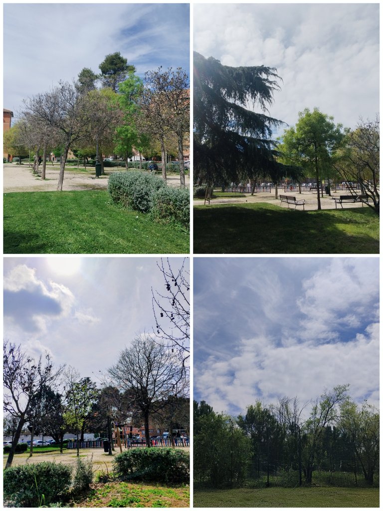 THE VIP GIRL tweet media