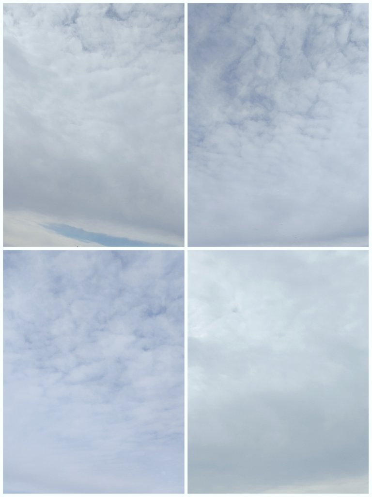 THE VIP GIRL tweet media