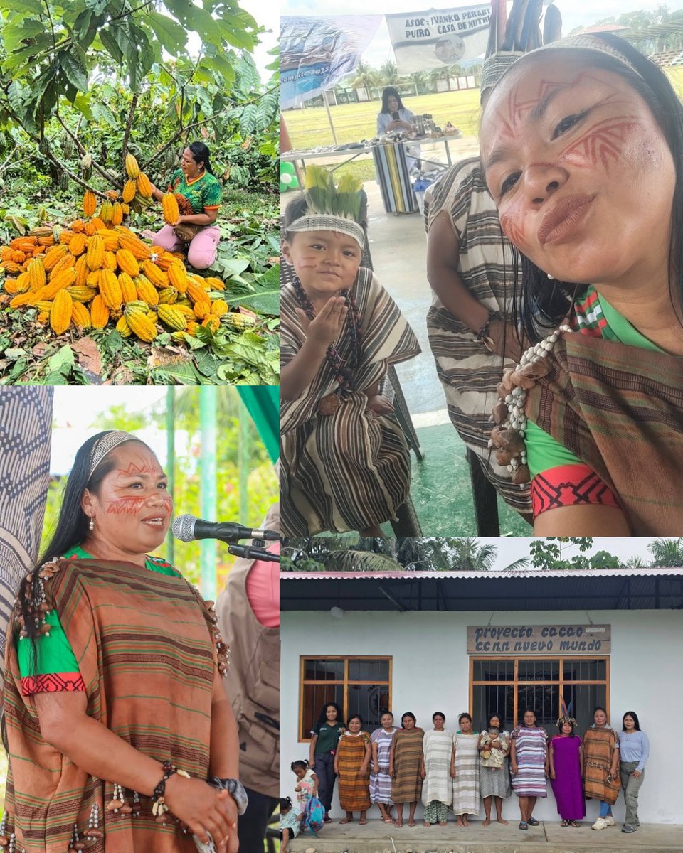 ANUPP - Perú tweet media